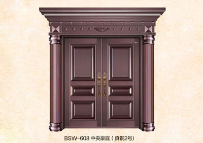BSW608